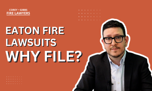 Fire Lawyer Answers: Why Sue SCE? Eaton Fire Lawsuits