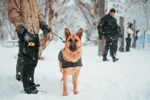 canine police officer who won federal overtime lawsuit